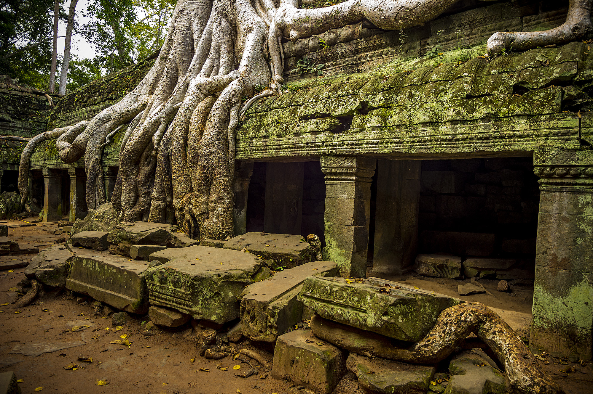 Ta Prohm, Camboya. © Alberto Honing