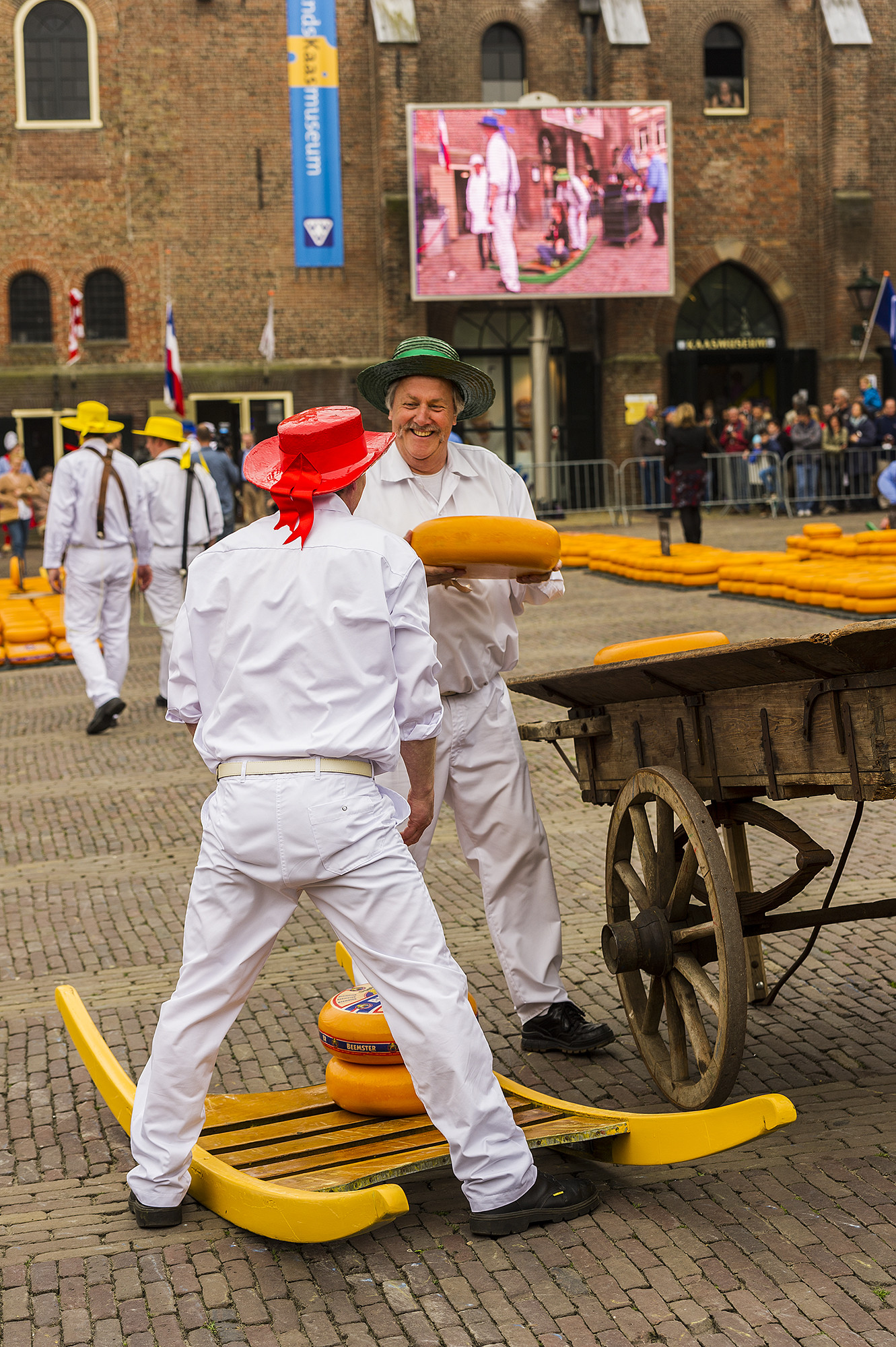 Kaasmarkt. Mercado del queso de Alkmaar.