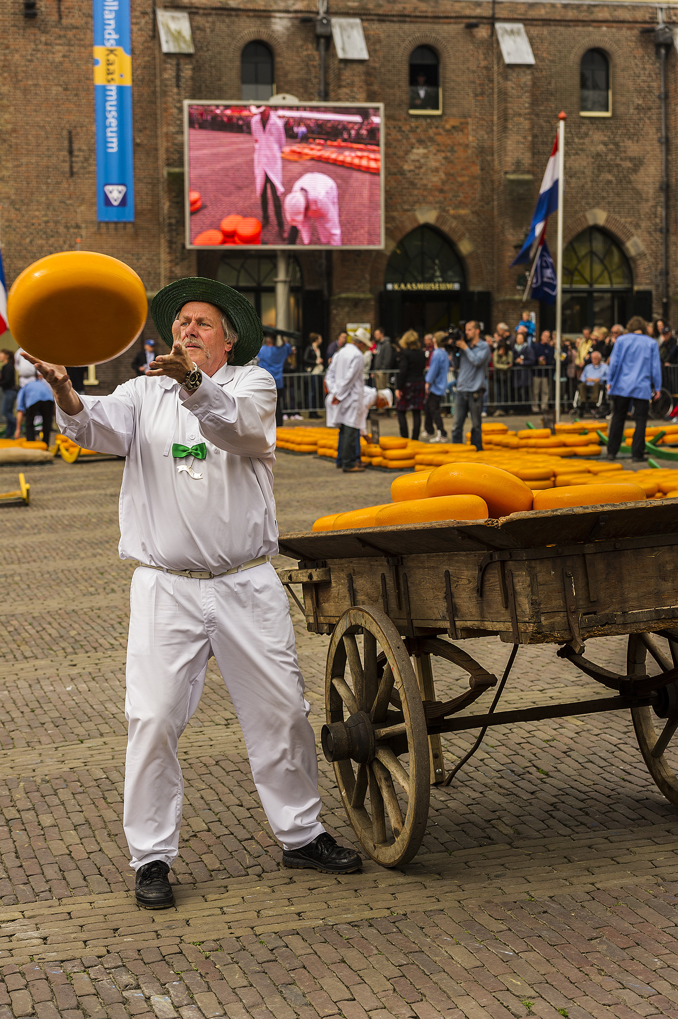 Kaasmarkt. El mercado del queso. Nederland.